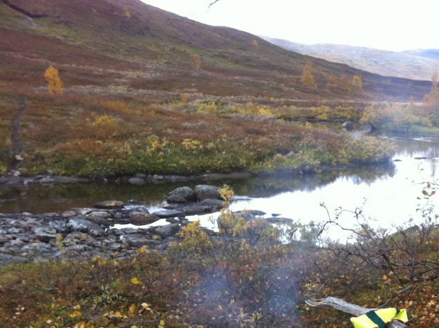 Da er det definitiv høst og vi gleder oss!  Først blir det jaktprøver på Bine og Patrika i Tromsø og Midt-Troms.  Vi håper på Derbybilett og Derbytur på Bine.  