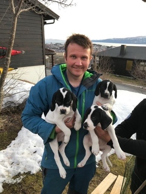 Andreas Eliassen har henta Rokkomborres E Perle til sin samboer Randi Anette Kulseth Pedersen i Levanger.  Han tok også med seg  Rokkomborres E Bie til Bernt Plassgård (Hamar) og Rokkomborres E Bos til Bjørn Riset Sundberg (Røros)